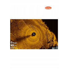 PRZETWORNIK SONAR HUMMINBIRD Mega Imaging 360